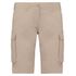 couleur Beige