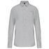 couleur Snow Grey