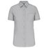 couleur Snow Grey