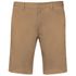 couleur Camel