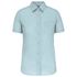 couleur Ice Mint