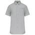 couleur Snow Grey