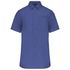 couleur Cobalt Blue