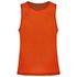 couleur Spicy Orange