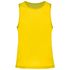 couleur Fluorescent Yellow