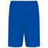 couleur Light Royal Blue