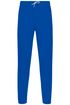 couleur Light Royal Blue
