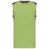 couleur Lime / Dark Grey