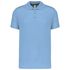 couleur Sky Blue