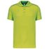 couleur Lime