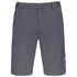couleur Convoy Grey