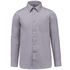 couleur Silver