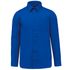 couleur Light Royal Blue
