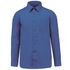 couleur Cobalt Blue