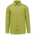 couleur Burnt Lime