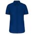 couleur True Indigo