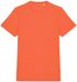 couleur Butternut