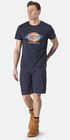 couleur Navy