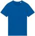 couleur Blue Sapphire