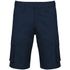 couleur Navy