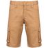 couleur Camel