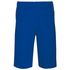 couleur Sporty Royal Blue