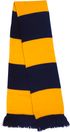 couleur Navy / Gold