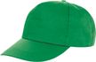 couleur Apple Green