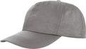 couleur Dove Grey
