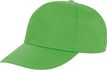 couleur Lime