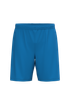 Short multisport en polyester homme Sporty Royal Blue PROACT®