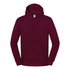 Sweat-shirt à capuche Iconic 250 Burgundy Fruit of the Loom