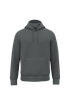 Sweat-shirt écoresponsable à capuche unisexe Iron Grey Native Spirit