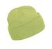 couleur Lime